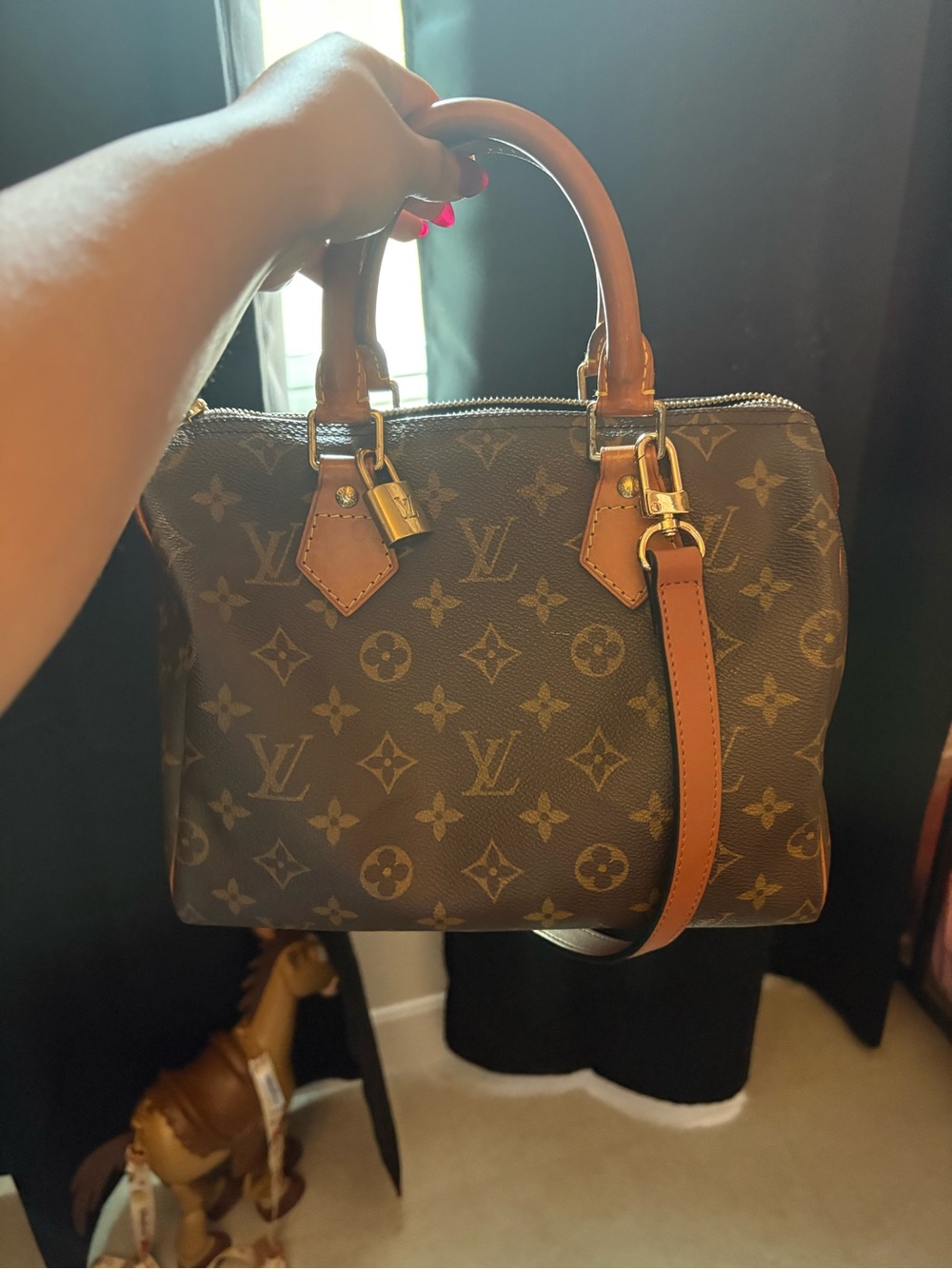 Louis Vuitton speedy 25 vintage
